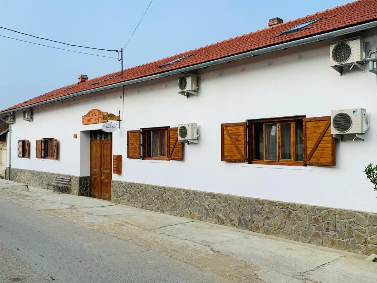 Hotel Casa "La Moara Din Gradina" Eftimie Murgu Exterior foto